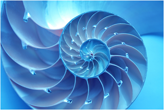 C:Users/Dropbox/Development/Website Materials/Website Images/ Blue Nautilus for website